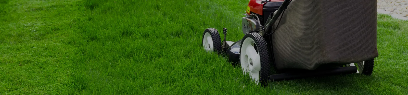 mow your law perth