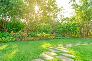 TTS Garden Services blog - Stepping Stones