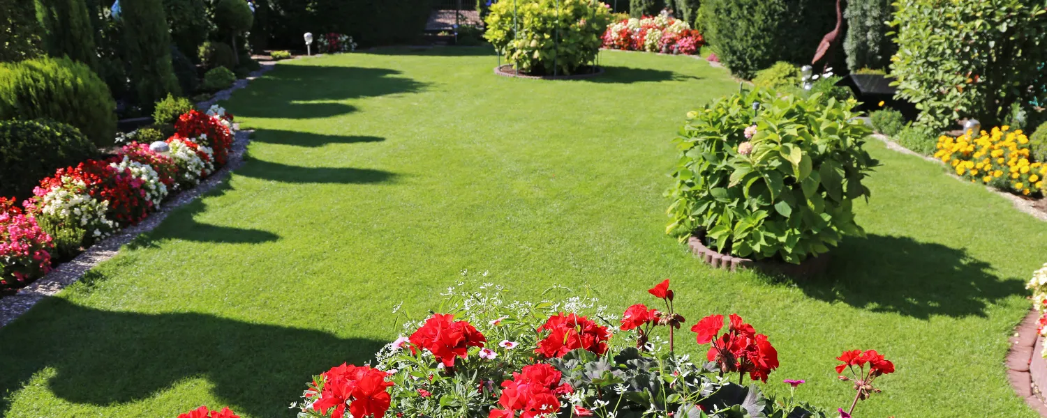 How to keep your garden looking good