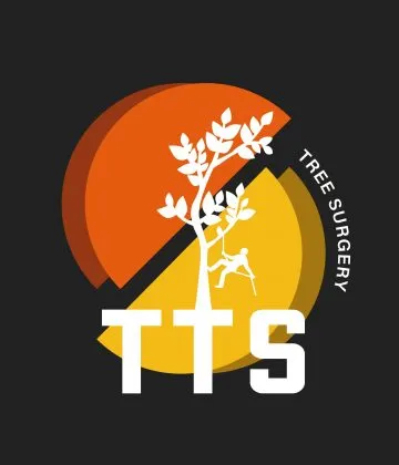 TTS Tree Surgery TTS Tree Surgery