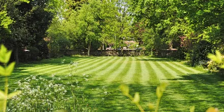 Spring lawn care - all you need to know