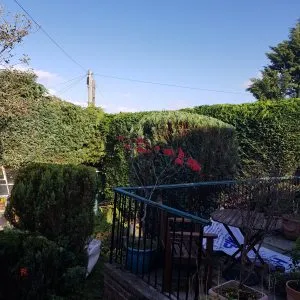 Garden services Perthshire